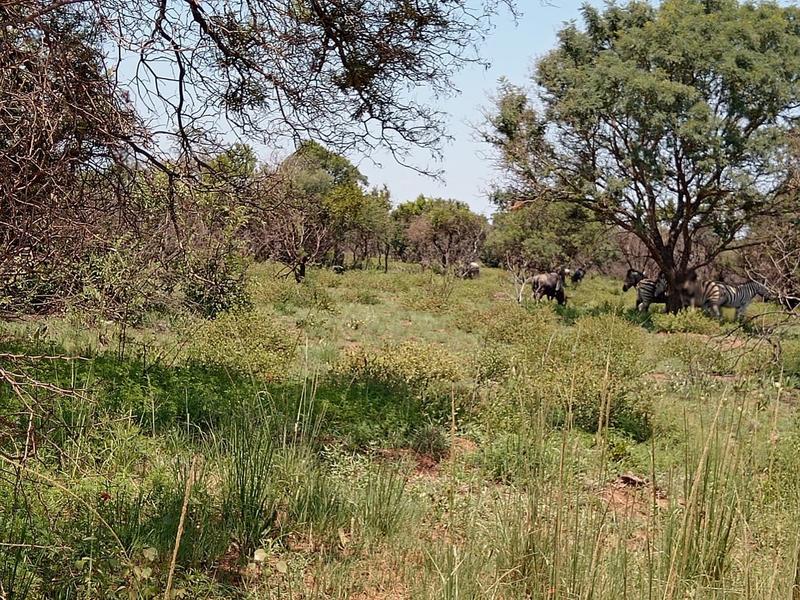 0 Bedroom Property for Sale in Dinokeng Game Reserve Gauteng