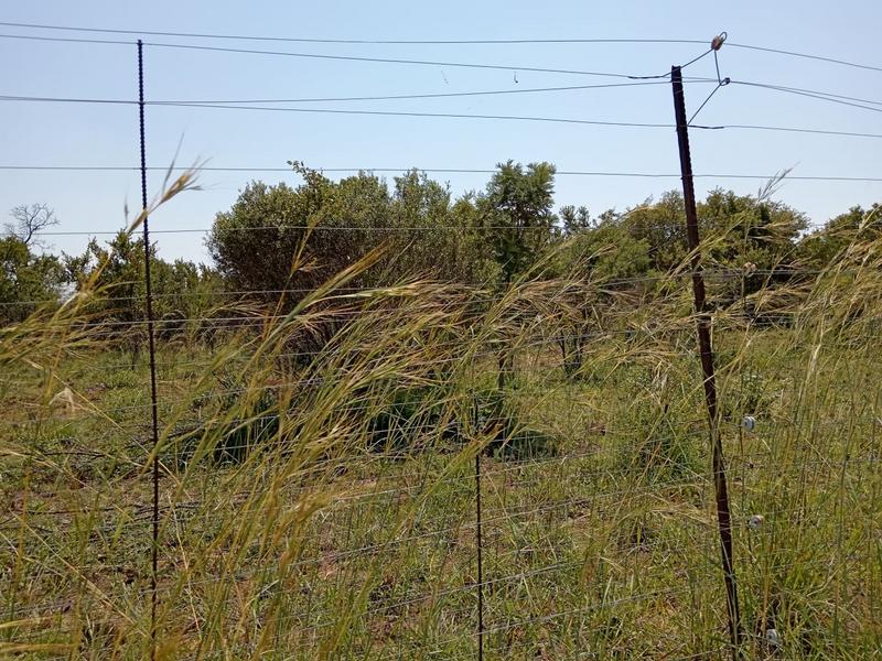 0 Bedroom Property for Sale in Dinokeng Game Reserve Gauteng