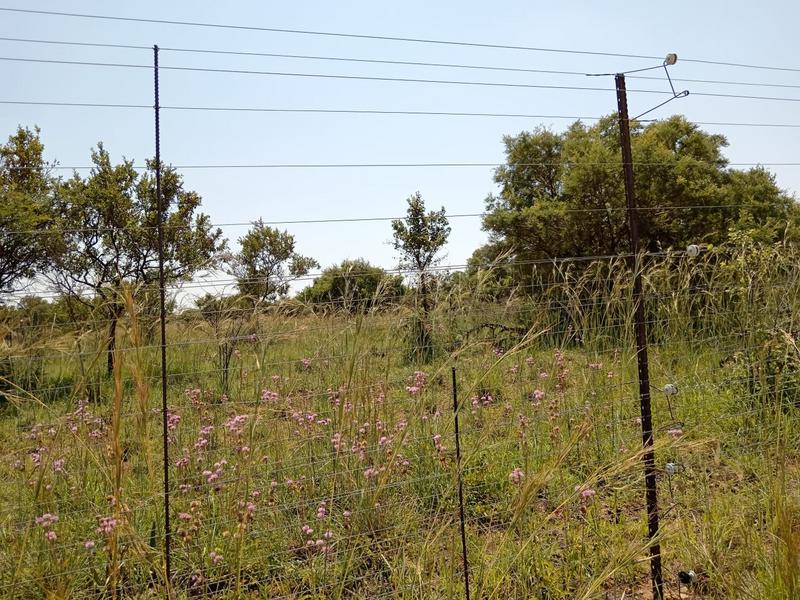 0 Bedroom Property for Sale in Dinokeng Game Reserve Gauteng