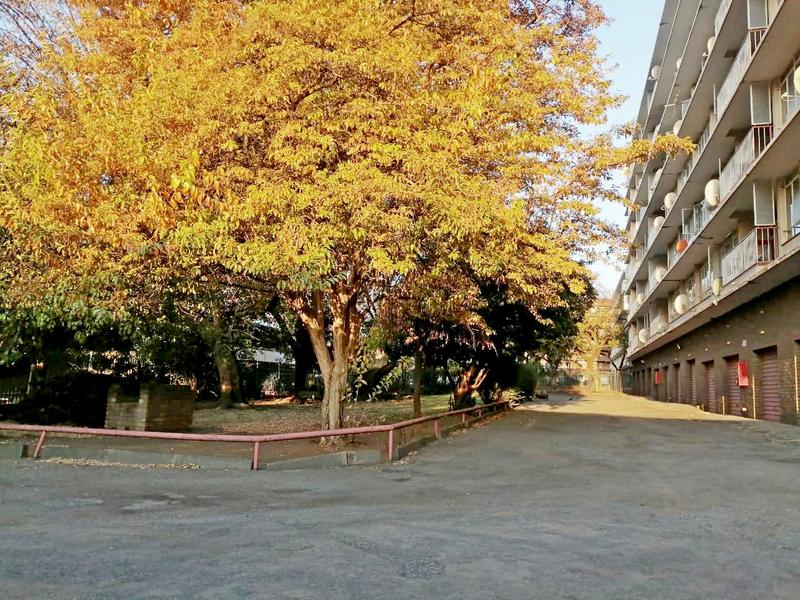 3 Bedroom Property for Sale in Muckleneuk Gauteng
