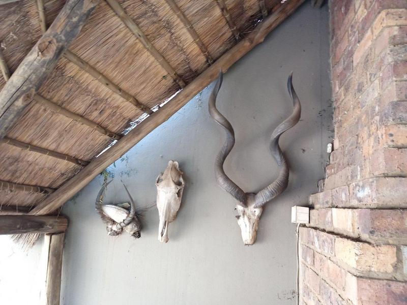 2 Bedroom Property for Sale in Springs Gauteng