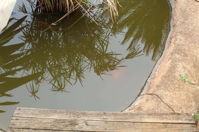 5 Bedroom Property for Sale in Pierre Van Ryneveld Gauteng