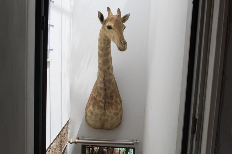 5 Bedroom Property for Sale in Pierre Van Ryneveld Gauteng