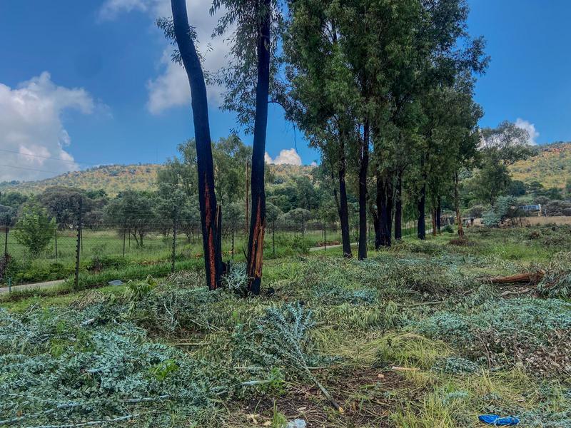 0 Bedroom Property for Sale in Poortview Gauteng