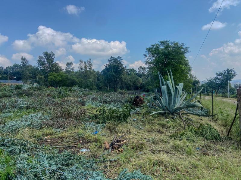 0 Bedroom Property for Sale in Poortview Gauteng