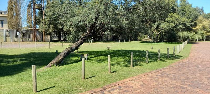 To Let 3 Bedroom Property for Rent in Riverspray Lifestyle Estate Gauteng