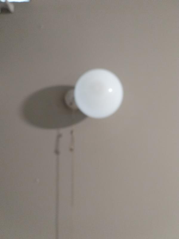 To Let 1 Bedroom Property for Rent in Sunnyside Gauteng