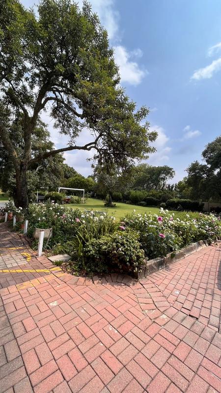 To Let 3 Bedroom Property for Rent in Victory Park Gauteng