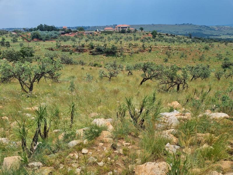 0 Bedroom Property for Sale in Protea Ridge Gauteng