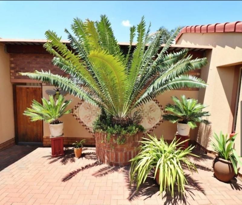 3 Bedroom Property for Sale in Sunnyridge Gauteng