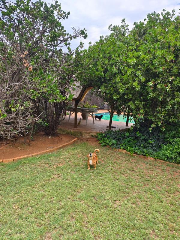 3 Bedroom Property for Sale in Klippoortje Gauteng