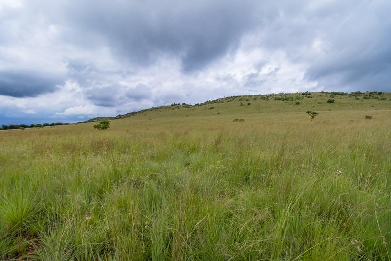 0 Bedroom Property for Sale in Krugersdorp Rural Gauteng