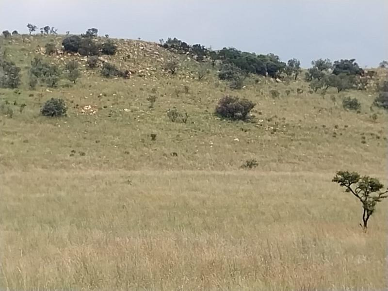 0 Bedroom Property for Sale in Krugersdorp Rural Gauteng