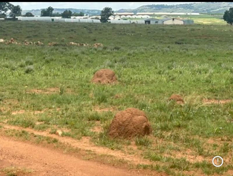 2 Bedroom Property for Sale in Tarlton Gauteng