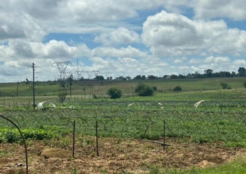 2 Bedroom Property for Sale in Tarlton Gauteng