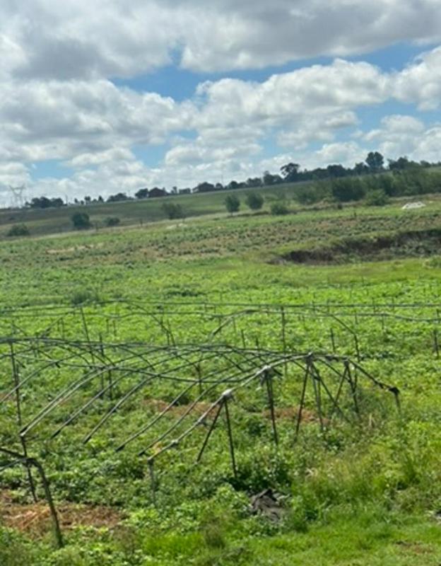 2 Bedroom Property for Sale in Tarlton Gauteng