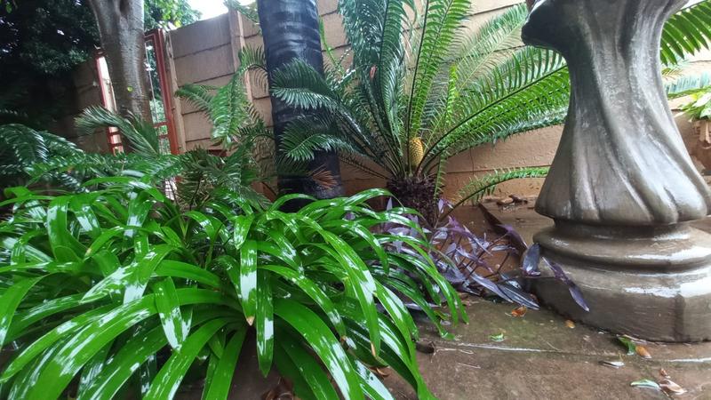 4 Bedroom Property for Sale in Daspoort Gauteng