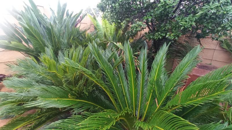 4 Bedroom Property for Sale in Daspoort Gauteng