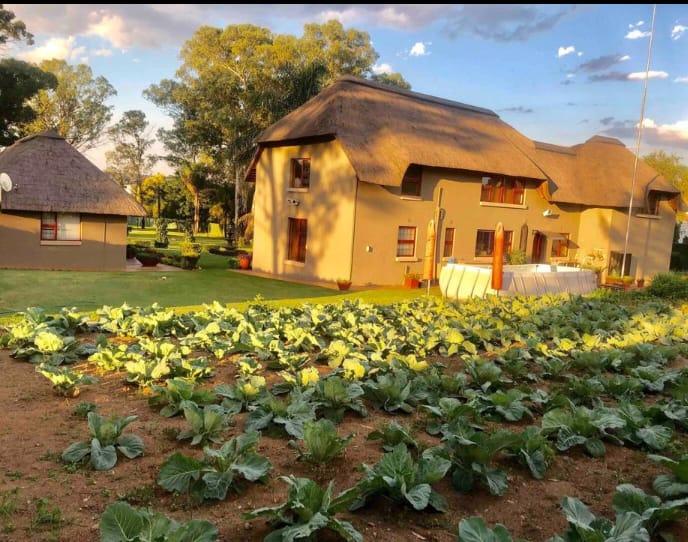 To Let 3 Bedroom Property for Rent in Linbro Park Gauteng
