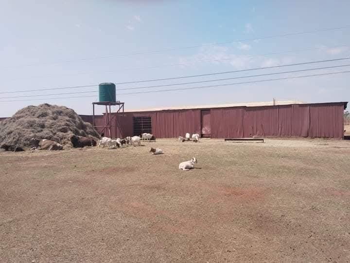 5 Bedroom Property for Sale in Luipaardsvlei Gauteng
