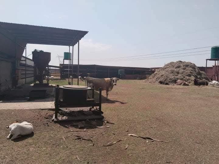 5 Bedroom Property for Sale in Luipaardsvlei Gauteng