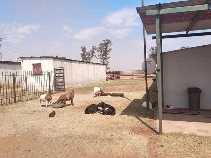 5 Bedroom Property for Sale in Luipaardsvlei Gauteng