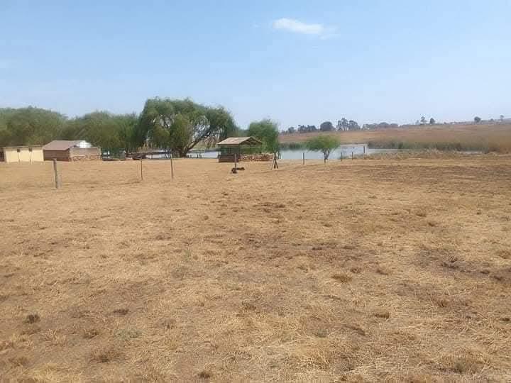 5 Bedroom Property for Sale in Luipaardsvlei Gauteng