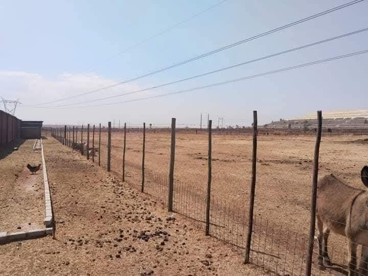 5 Bedroom Property for Sale in Luipaardsvlei Gauteng