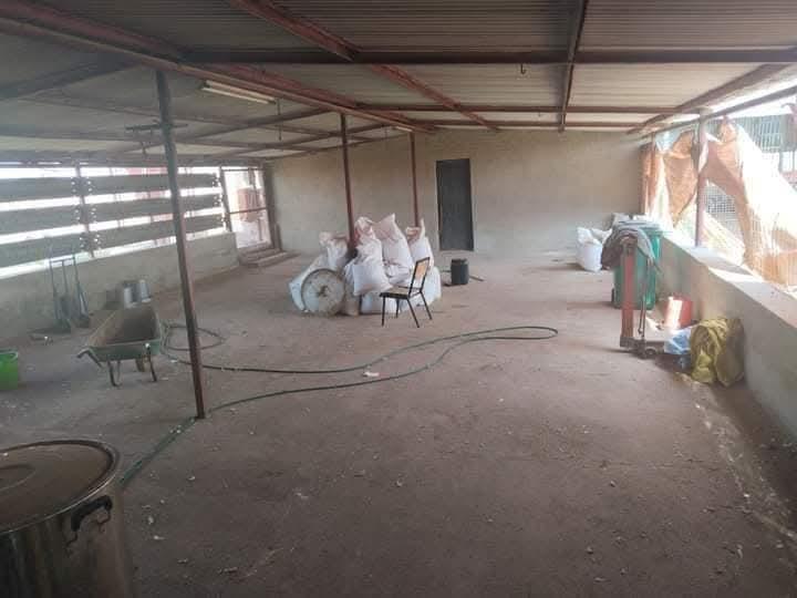 5 Bedroom Property for Sale in Luipaardsvlei Gauteng