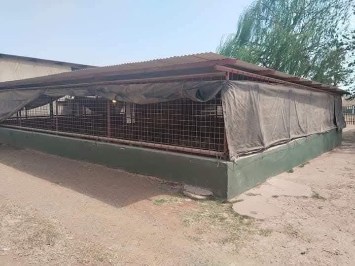 5 Bedroom Property for Sale in Luipaardsvlei Gauteng