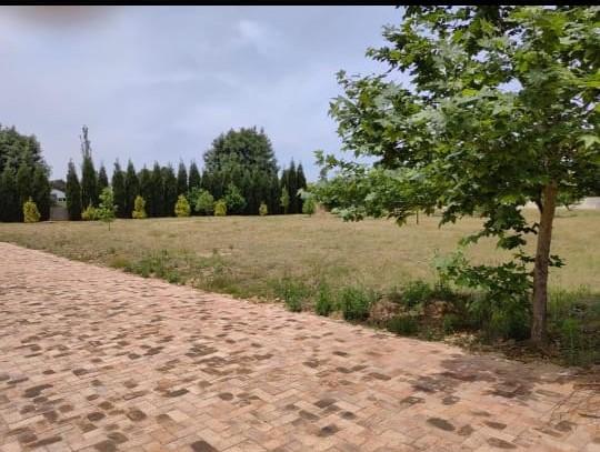 0 Bedroom Property for Sale in Rynfield Gauteng