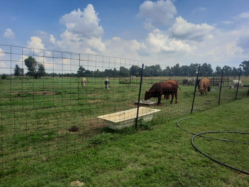 To Let 4 Bedroom Property for Rent in New Kentucky Gauteng
