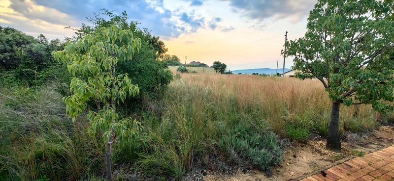 0 Bedroom Property for Sale in Vaaloewer Gauteng
