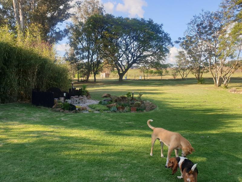 0 Bedroom Property for Sale in Rietfontein Gauteng