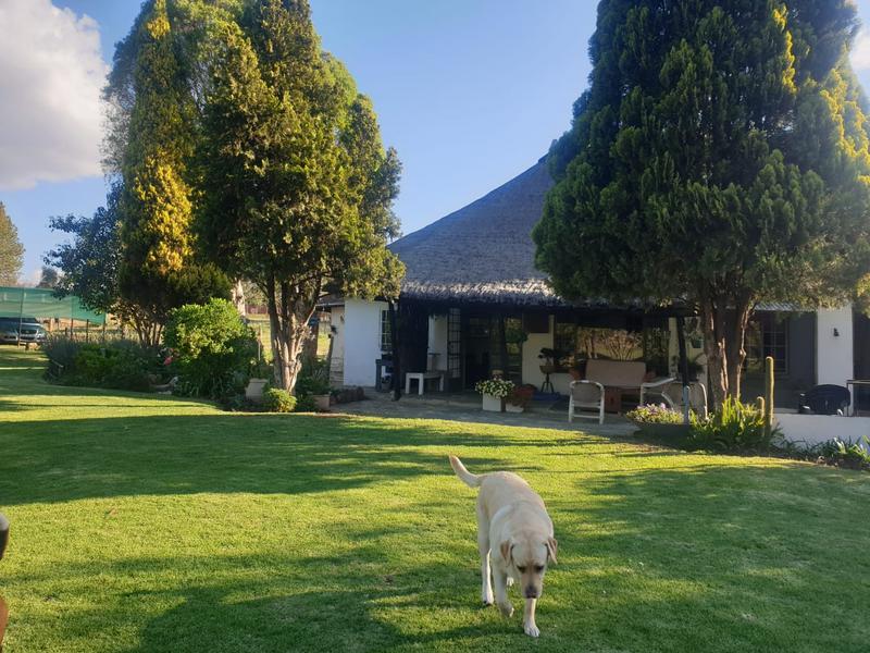 0 Bedroom Property for Sale in Rietfontein Gauteng