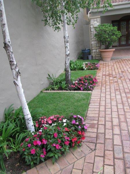 To Let 1 Bedroom Property for Rent in Pineslopes Gauteng