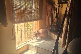 3 Bedroom Property for Sale in Theresa Park Gauteng