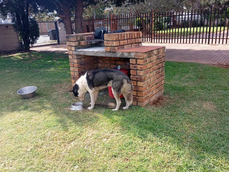 To Let 1 Bedroom Property for Rent in Primrose Hill Gauteng