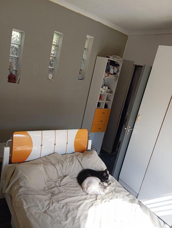 To Let 1 Bedroom Property for Rent in Primrose Hill Gauteng