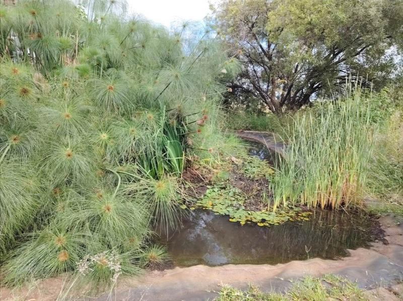 4 Bedroom Property for Sale in Groenfontein Gauteng