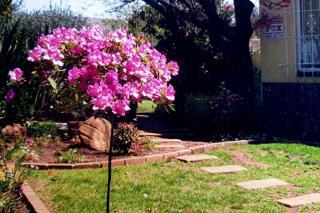 4 Bedroom Property for Sale in Randhart Gauteng