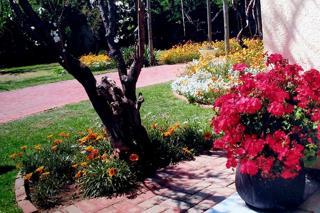 4 Bedroom Property for Sale in Randhart Gauteng