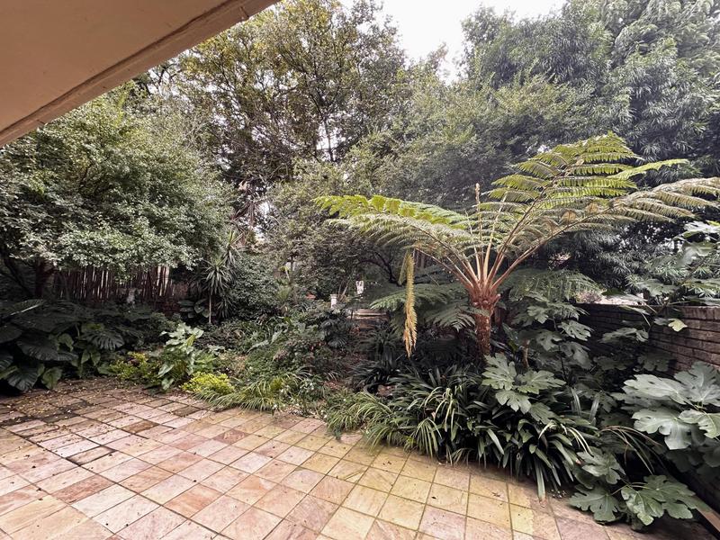 To Let 5 Bedroom Property for Rent in Sandown Gauteng