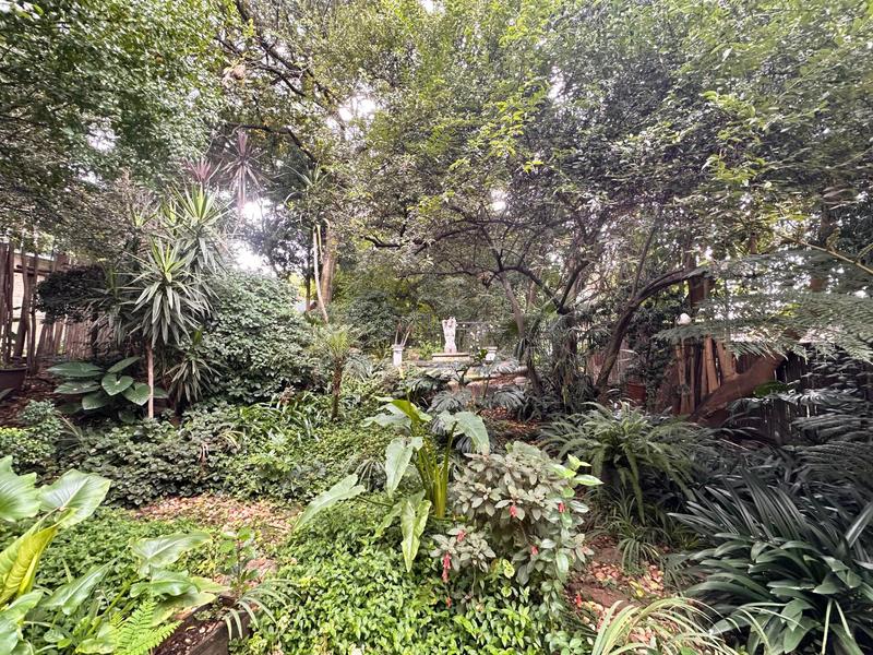 To Let 5 Bedroom Property for Rent in Sandown Gauteng