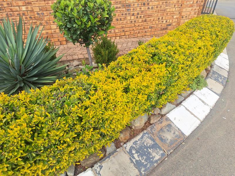 3 Bedroom Property for Sale in Witpoortjie Gauteng
