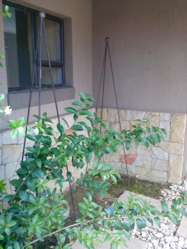 To Let 3 Bedroom Property for Rent in Vanderbijlpark Gauteng
