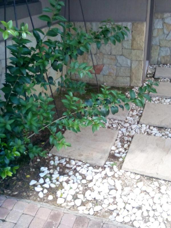 To Let 3 Bedroom Property for Rent in Vanderbijlpark Gauteng