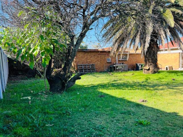 To Let 3 Bedroom Property for Rent in Florida Lake Gauteng