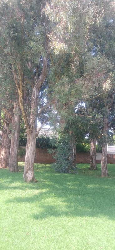 2 Bedroom Property for Sale in Bruma Gauteng