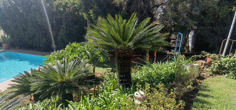 To Let 1 Bedroom Property for Rent in Lynnwood Gauteng